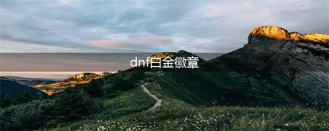 《dnf》白金徽章怎么获得 白金徽章获取方法