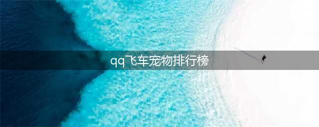 qq飞车宠物排行 有哪些比较受欢迎的(qq飞车宠物排行榜)