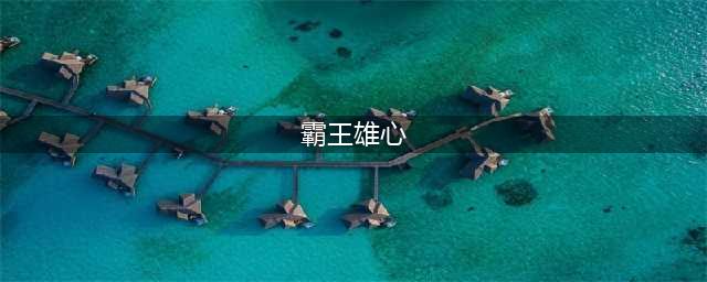 《霸王雄心》新手攻略 新手入门教学指南(霸王雄心)