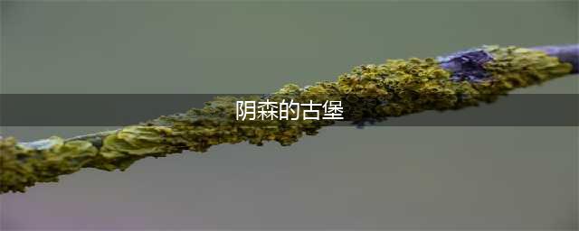 《不思议迷宫》阴森的古堡通关攻略(阴森的古堡)