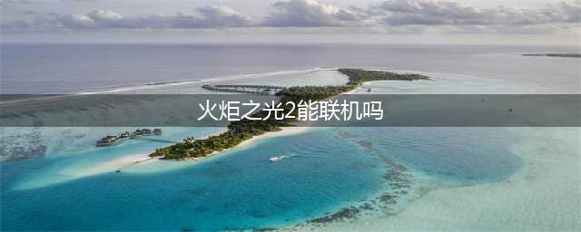 《火炬之光2》如何联机 联机方法分享(火炬之光2能联机吗)