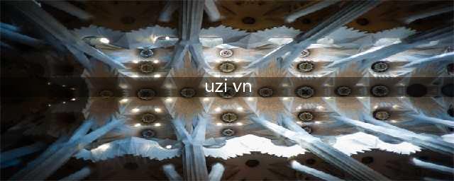 《LOL》UziVNS10怎么玩 UziVNS10天赋出装介绍(uzi vn)