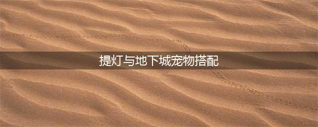 《提灯与地下城》宠物怎么搭配 新手零氪宠物搭配攻略(提灯与地下城宠物搭配)