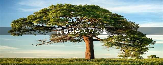 赛博朋克2077朱迪位置介绍