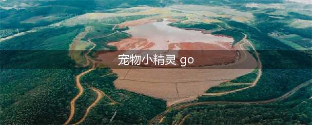 《宠物小精灵:GO》图鉴大解析 收集控的挚爱(宠物小精灵 go)