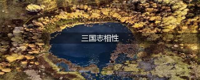 《三国志11》相性性格怎么样 相性性格效果一览(三国志相性)