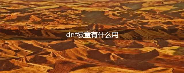 《DNF》徽章系统怎么玩 全新徽章系统玩法详解(dnf徽章有什么用)