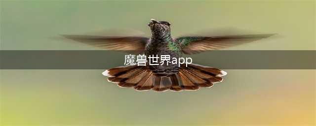 随身魔兽世界APP使用教程的分享 随身魔兽世界怎么用(魔兽世界app)