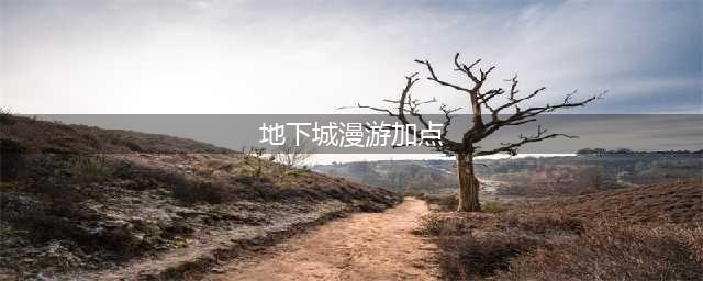 《DNF》漫游怎么加点 漫游加点推荐(地下城漫游加点)