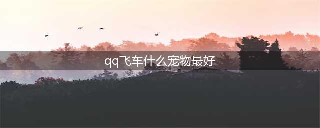 《QQ飞车》手游2022最强宠物排行榜一览 最强的宠物是什么(qq飞车什么宠物最好)