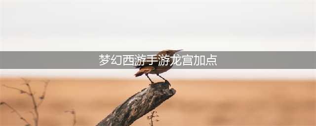 《梦幻西游手游》新手龙宫怎么加点 新手龙宫常规加点推荐(梦幻西游手游龙宫加点)