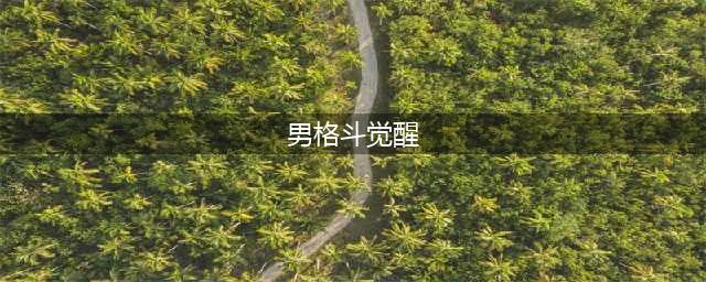 《DNF》男格斗真觉醒怎么样 男格斗第三次觉醒真觉醒一览(男格斗觉醒)