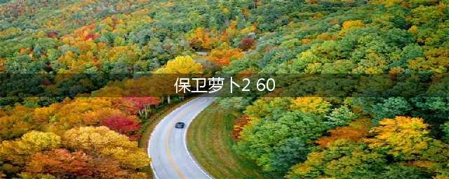 《保卫萝卜2》完整攻略图解66关(保卫萝卜2 60)