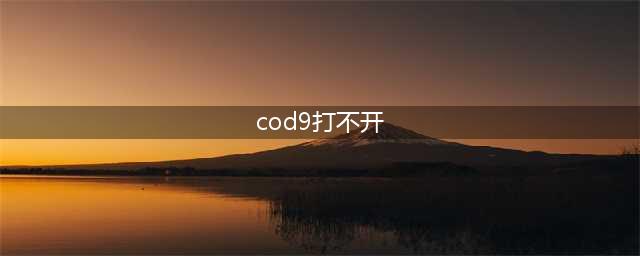 《使命召唤9》僵尸模式怎么进不去 僵尸模式无法进入解决方法(cod9打不开)