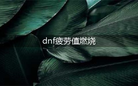 dnf疲劳值燃烧是什么意思(dnf疲劳值燃烧)