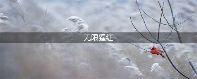 霓虹深渊无限猩红沙漏作用攻略