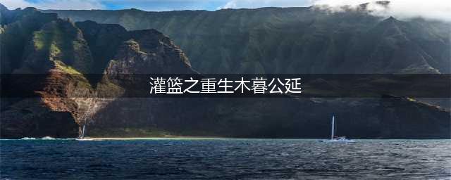 《灌篮高手》木暮公延技能怎么样 木暮公延技能介绍(灌篮之重生木暮公延)