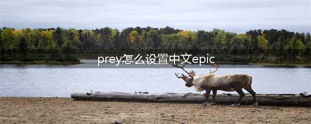 epic掠食如何设置中文 PREY改中文设置方法介绍(prey怎么设置中文epic)