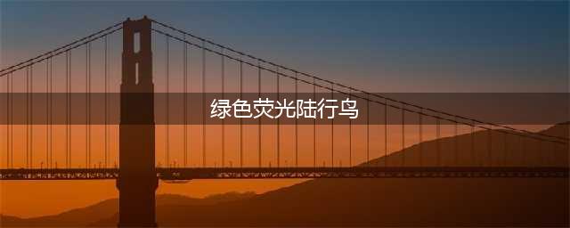 《魔兽世界》六大绝版道具 独一无二的机械陆行鸟(绿色荧光陆行鸟)