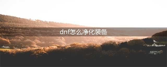 《DNF》怎么净化装备 净化装备方法分享(dnf怎么净化装备)