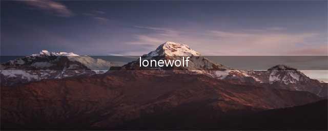 《Lonewolf》新手通全关攻略 新手玩法技巧详解(lonewolf)