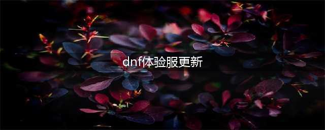 《DNF》3月5日国服体验服更新内容介绍 国服体验服更新了什么(dnf体验服更新)