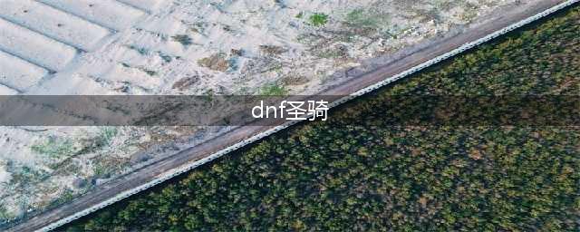 《DNF》男圣骑士110级审判刷图加点详解(dnf圣骑)