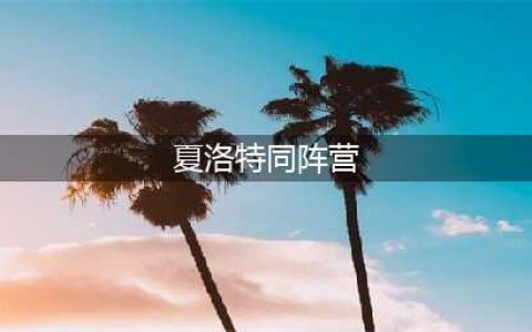 《王者荣耀》夏洛特同阵营英雄介绍 夏洛特同阵营英雄怎么样(夏洛特同阵营)