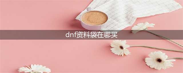 《dnf》资料袋有什么用 dnf资料袋在哪里买(dnf资料袋在哪买)