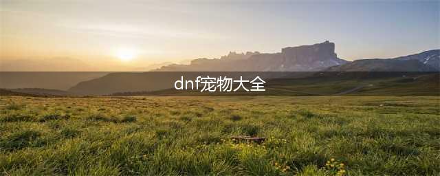 《dnf》全宠物属性一览汇总 大飞空时代宠物属性是什么(dnf宠物大全)