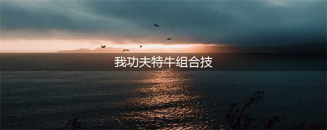 我功夫特牛组合技汇总(我功夫特牛组合技)