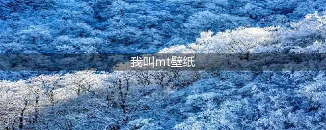 《我叫MT：归来》壁纸鉴赏|小队再聚 爆笑开团