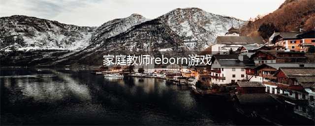 《家庭教师Reborn》正宗家教范儿 评测：热血战斗(家庭教师reborn游戏)