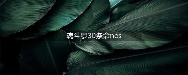 《魂斗罗2代30条命》nes下载 魂斗罗2代30条命手机版下载安装(魂斗罗30条命nes)