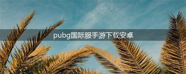 pubg mobile国际服如何下载 安卓系统下载方法介绍(pubg国际服手游下载安卓)