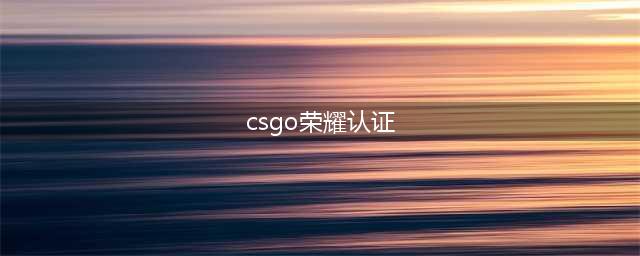 《CSGO》国服荣耀认证系统介绍(csgo荣耀认证)