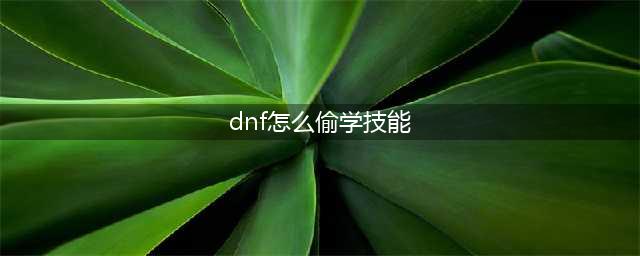 《DNF》怎么偷学技能 技能偷学流程攻略(dnf怎么偷学技能)