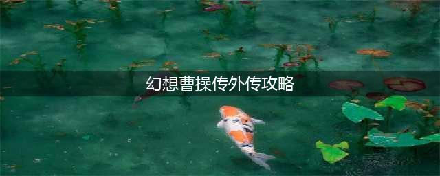 幻想曹操传战斗技巧攻略 卡牌打法详解(幻想曹操传外传攻略)