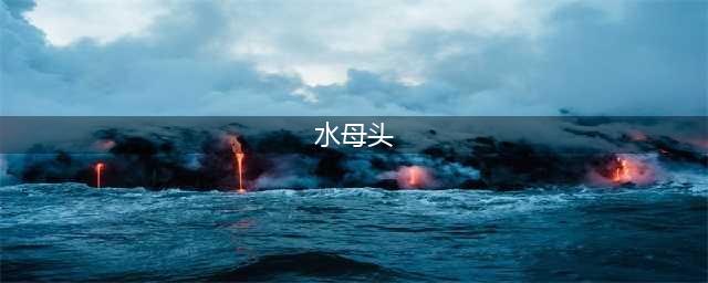 《光遇》水母头怎么获取 水母头获取方法分享(水母头)