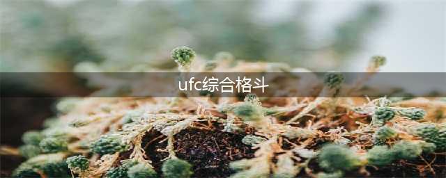 好玩的UFC综合格斗游戏下载大全2021 最火的UFC综合格斗游戏前十名(ufc综合格斗)