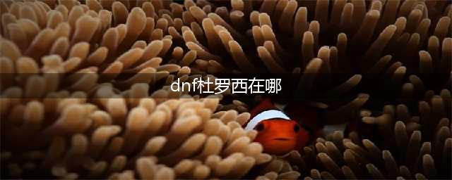 《DNF》杜罗西在哪里 杜罗西位置介绍(dnf杜罗西在哪)