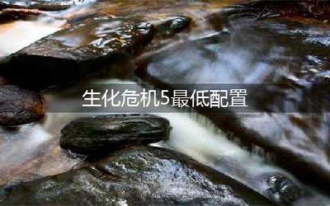 《生化危机5》PC版要什么配置 PC版配置要求表一览(生化危机5最低配置)