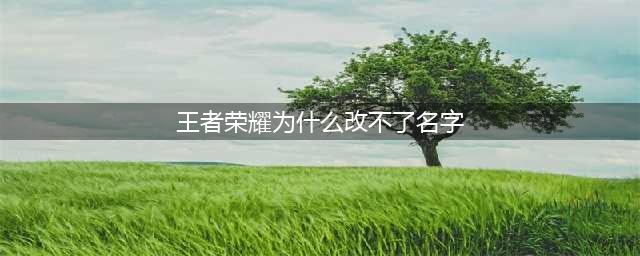 王者荣耀为什么改不了名字 改不了名字解决攻略(王者荣耀为什么改不了名字)