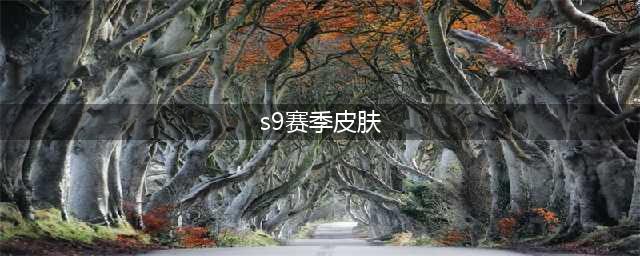 《英雄联盟手游》S9赛季皮肤介绍