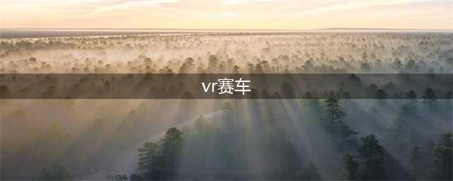 10大真实vr赛车游戏推荐2021 热门的真实赛车游戏有哪些(vr赛车)