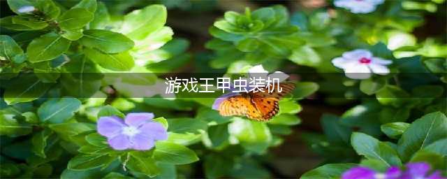 《游戏王决斗链接》平民低配甲虫装机卡组构筑攻略 甲虫装机卡组怎么玩(游戏王甲虫装机)