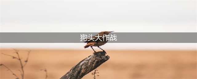 《狗头大作战》狗头获取攻略 狗头怎么获得(狗头大作战)