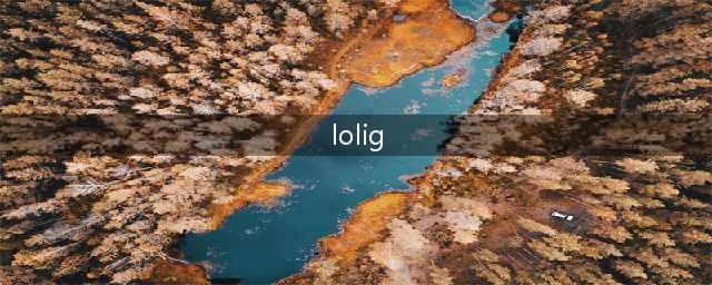 《LOL》IG冠军皮肤怎么样 IG冠军皮肤购买评测(lolig)