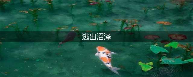 《明日之后》掉进沼泽怎么办 掉进沼泽逃出方法技巧攻略分享(逃出沼泽)