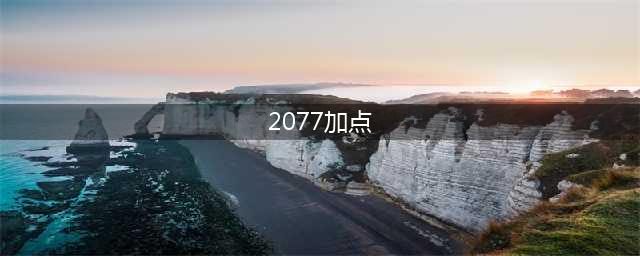 赛博朋克2077怎么加点 加点方案推荐